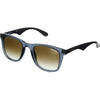 Gray Transparent / Brown Gray Transparent / Brown