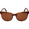 Electric Bengal Adult Lifestyle Sunglasses Brand New - Electric Bengal Adult Lifestyle Sunglasses (Brand New)