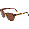 Tortoise Shell / Melanin Bronze Tortoise Shell / Melanin Bronze