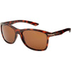 Brown Tortoise / Bronze Brown Tortoise / Bronze