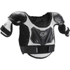 Black / Silver Black / Silver