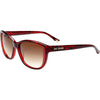 Burgundy Tort / Brown Gradient Burgundy Tort / Brown Gradient