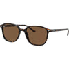 Tortoise / B-15 Brown Tortoise / B-15 Brown