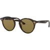 Dark Tortoise / Brown Dark Tortoise / Brown