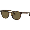 Light Tortoise / Grey Gradient Light Tortoise / Grey Gradient