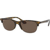 Havana / Dark Brown Havana / Dark Brown