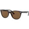 Tortoise / B-15 Brown Tortoise / B-15 Brown