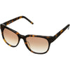 Camel Tortoise / Bronze Gradient Camel Tortoise / Bronze Gradient