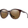 Tortoise / Brown Tortoise / Brown