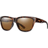 Tortoise / Brown Tortoise / Brown