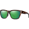 Tortoise / Green Tortoise / Green
