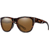 Tortoise / Brown Tortoise / Brown