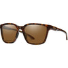 Tort / Brown Tort / Brown