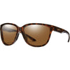 Tortoise / Brown Tortoise / Brown