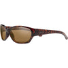 Tortoise / Brown Tortoise / Brown