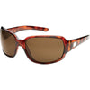 Tortoise / Brown Tortoise / Brown
