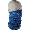 Blue Paisley Blue Paisley