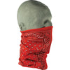 Red Paisley Red Paisley