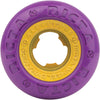 Purple / Gold Purple / Gold