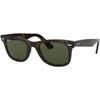 Tortoise / Green Tortoise / Green