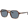 Tortoise / Blue Classic Tortoise / Blue Classic