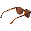 Electric Bengal Adult Lifestyle Sunglasses (Brand New)