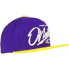 O'Neill Throwback Men's Snapback Adjustable Hats