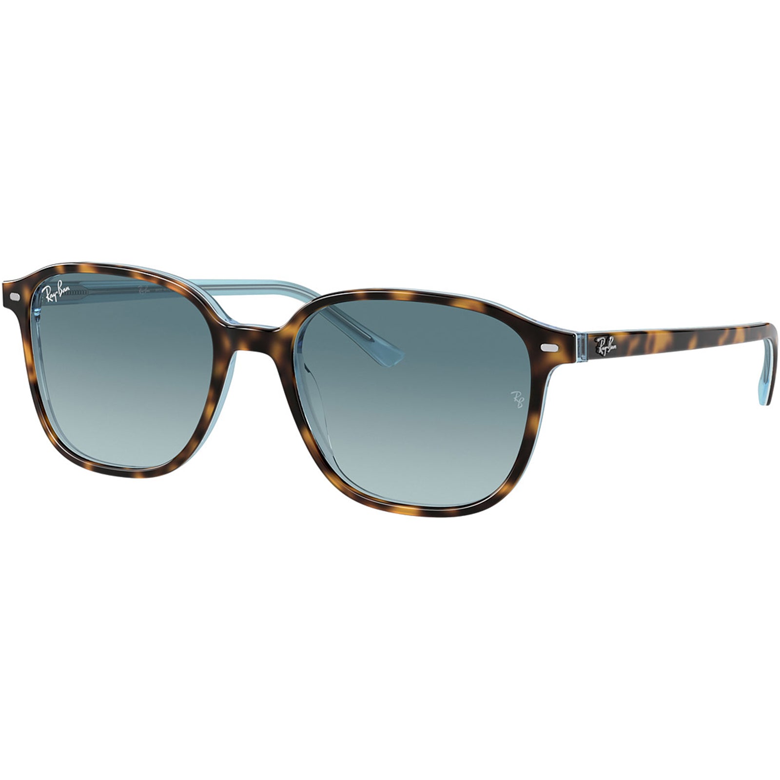 Ray-Ban Leonard Adult Lifestyle Sunglasses-0RB2193