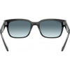 Ray-Ban Jeffrey Men's Lifestyle Sunglasses (Brand New)