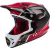 Fly Racing Werx-R Carbon Adult MTB Helmets